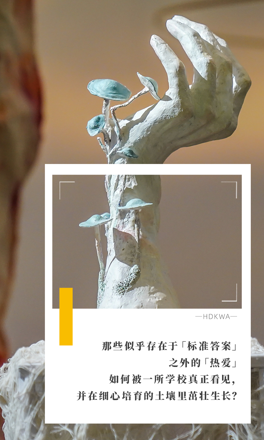 头图-新-2.png