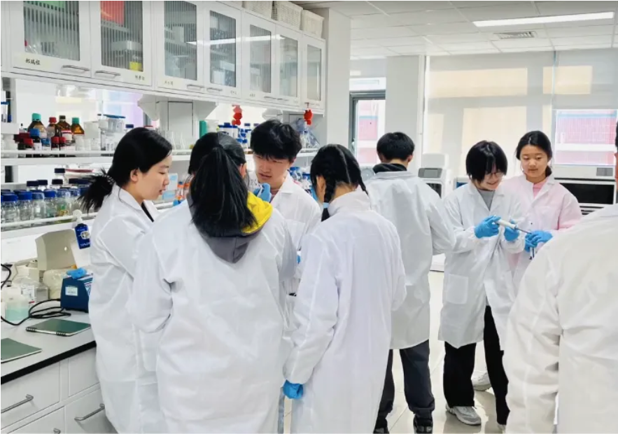 Screenshot 2025-12-16 at 16.22.28.png